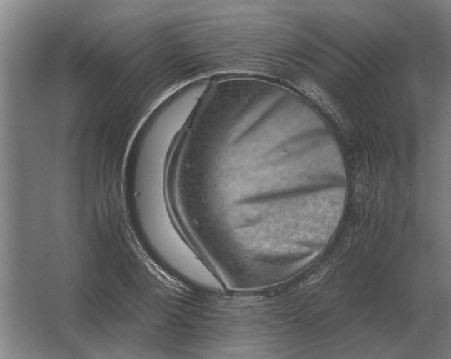 X0000063440884200602031738