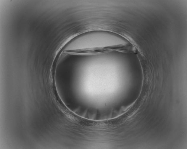 X0000063440885200602031738