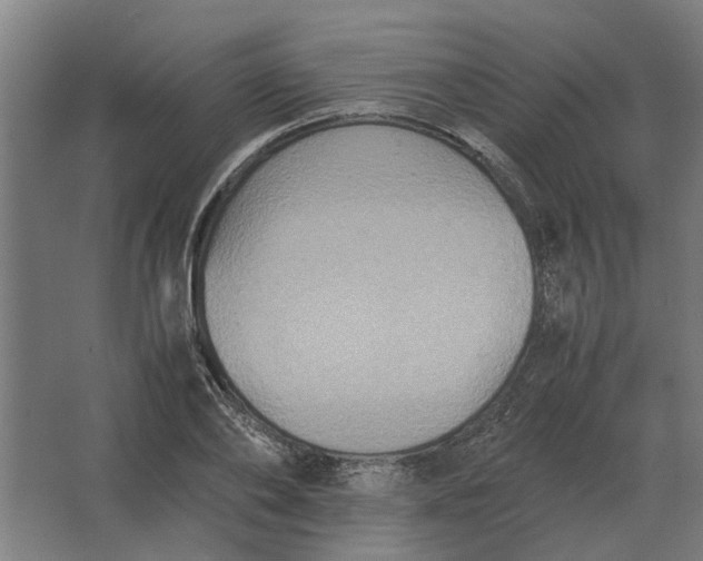 X0000063440886200602031738