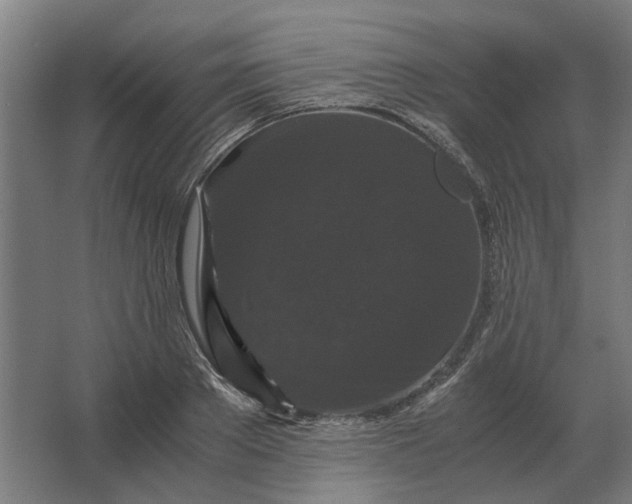 X0000063440889200602031738