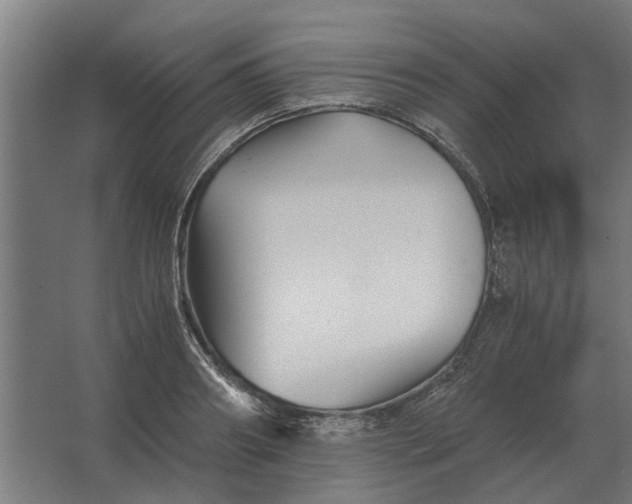 X0000063440890200602031738