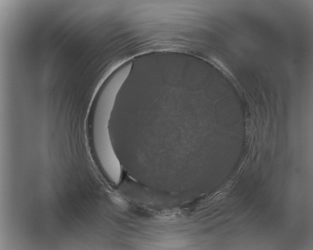 X0000063440891200602031738