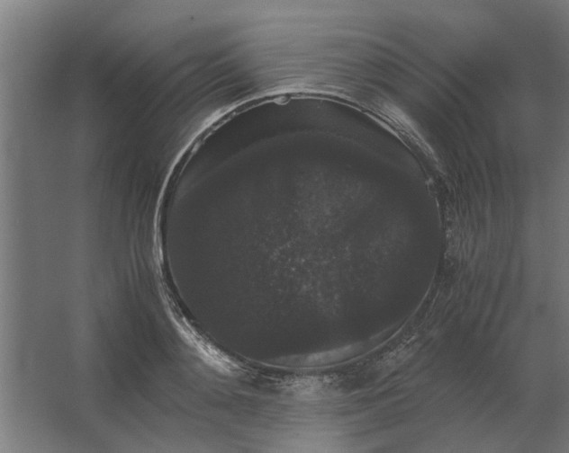 X0000063440892200602031738