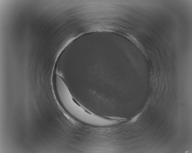 X0000063440893200602031738