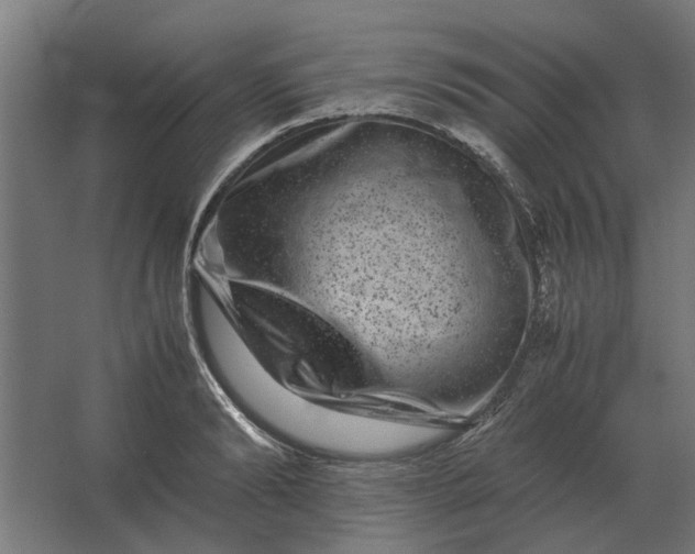 X0000063440894200602031738