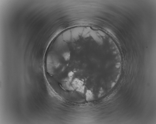 X0000063440899200602031738