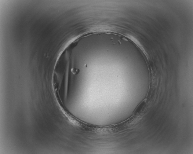 X0000063440901200602031738
