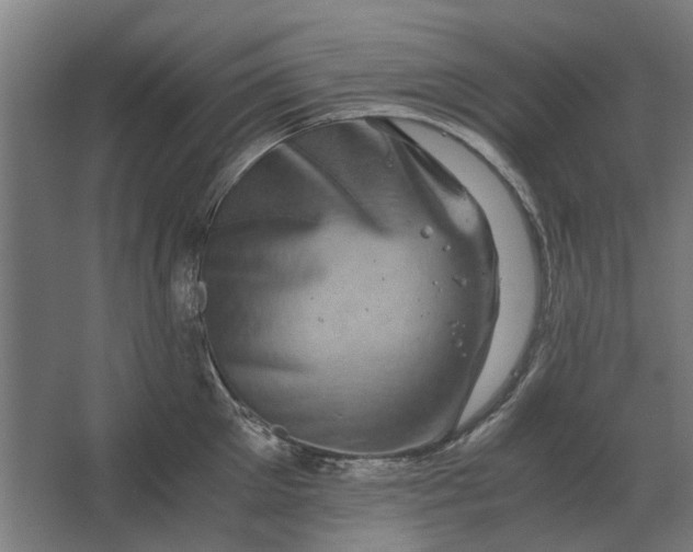 X0000063440905200602031738
