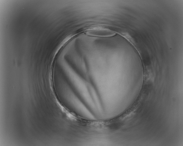 X0000063440909200602031738