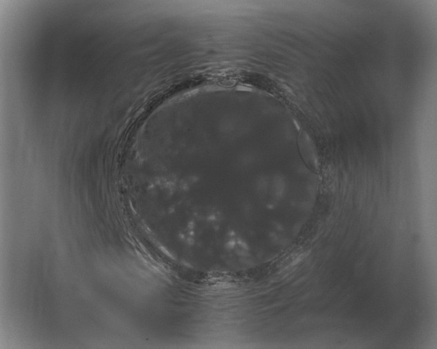 X0000063440913200602031737