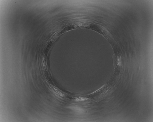 X0000063440915200602031737