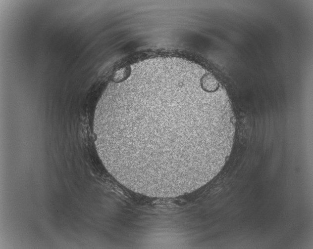 X0000063440918200602031737