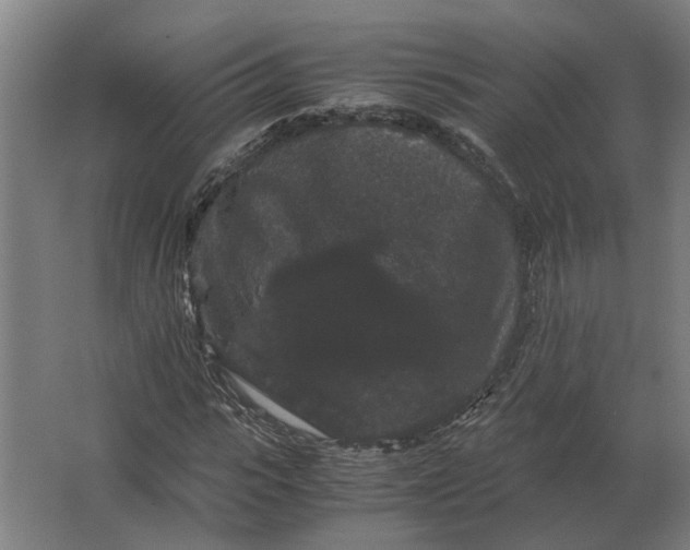 X0000063440919200602031737
