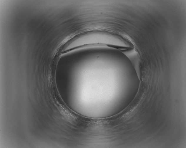 X0000063440922200602031737