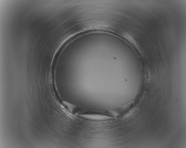 X0000063440924200602031737