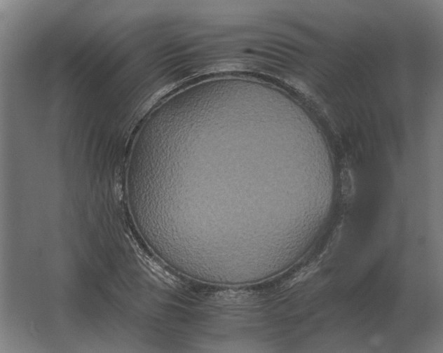 X0000063440929200602031737