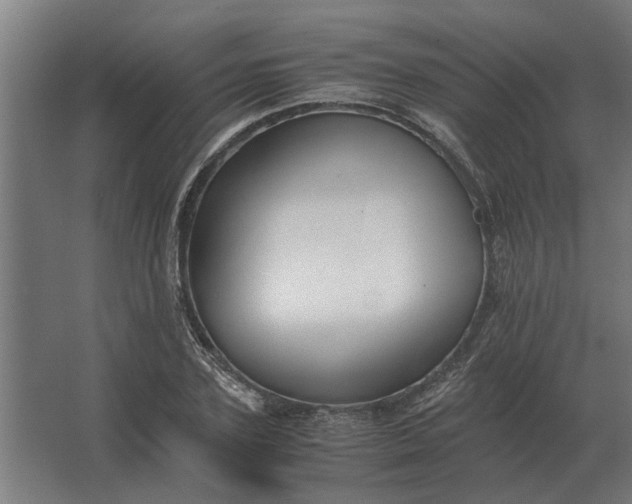 X0000063440931200602031737