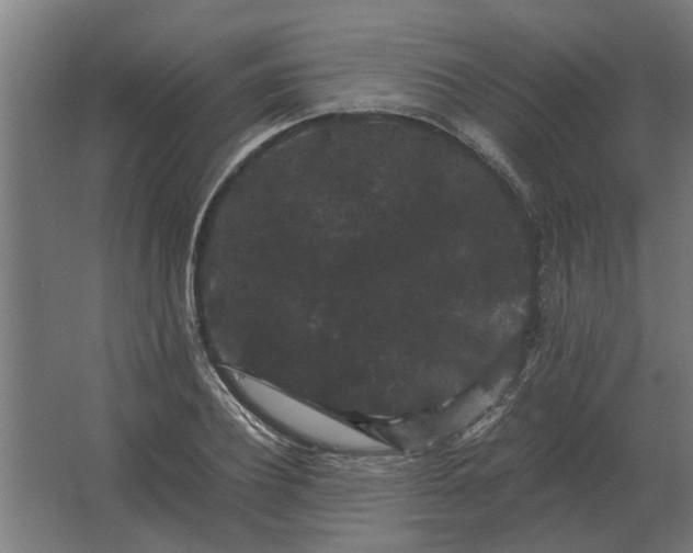 X0000063440932200602031737