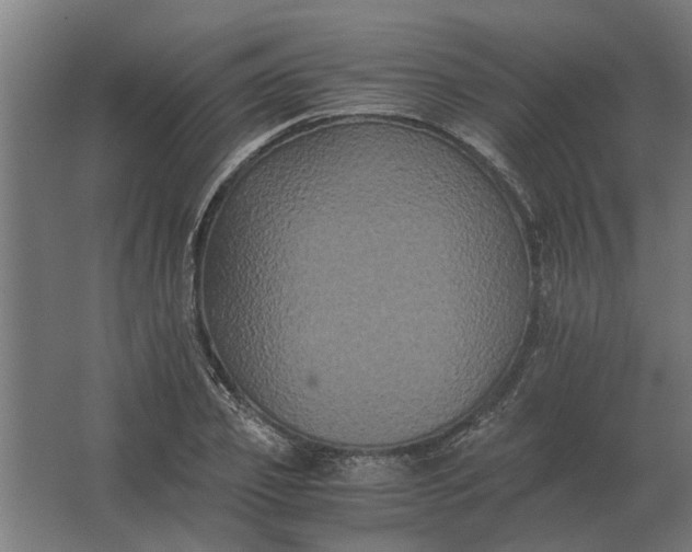 X0000063440933200602031737