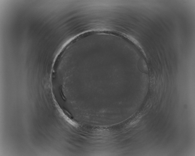 X0000063440935200602031737