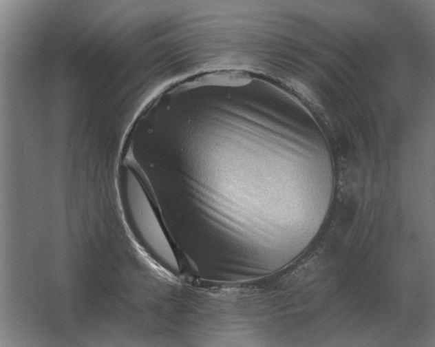 X0000063440942200602031738