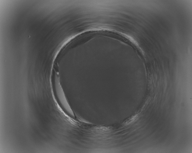 X0000063440943200602031738