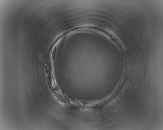X0000063440945200602031738