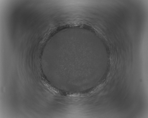 X0000063440961200602031737