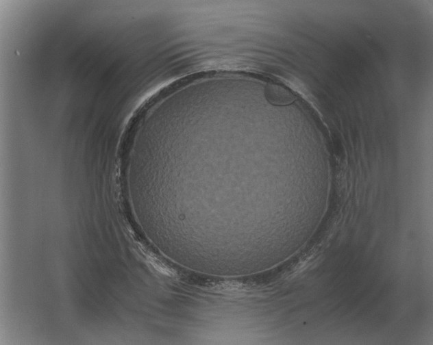 X0000063440971200602031737