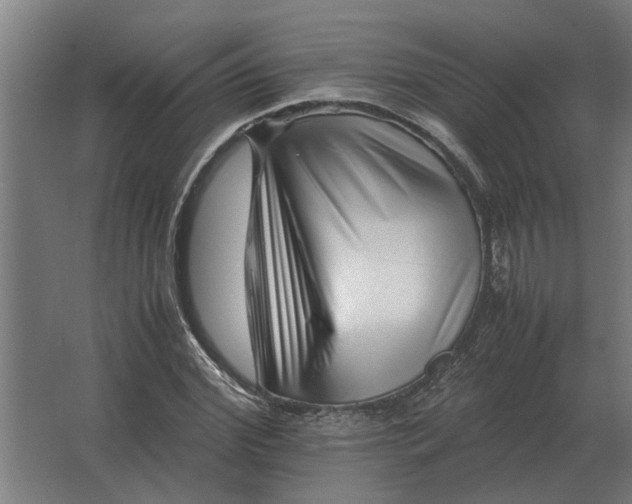 X0000063440972200602031737