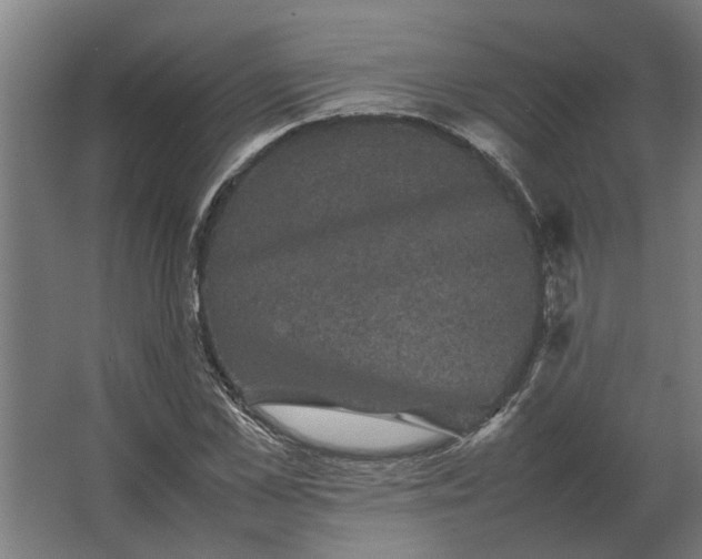 X0000063440973200602031737