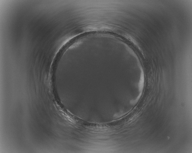 X0000063440975200602031737