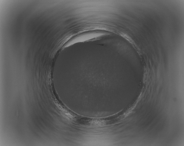X0000063440977200602031737