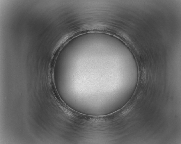 X0000063440978200602031737