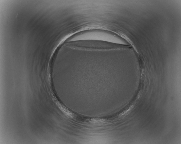 X0000063440981200602031737