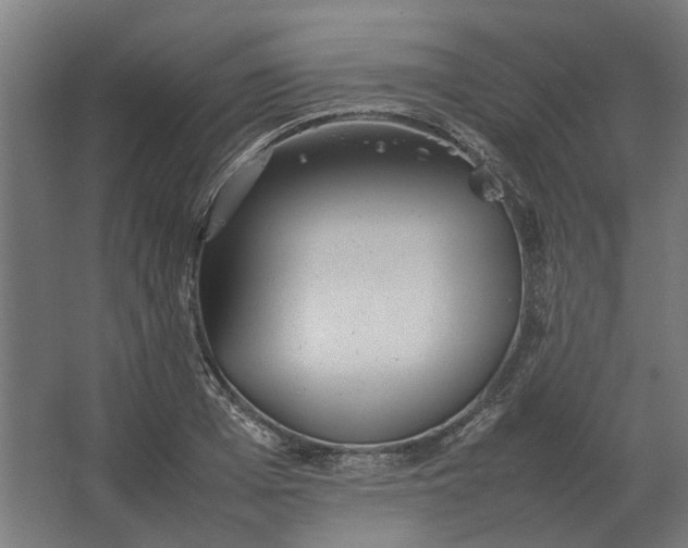 X0000063440985200602031737