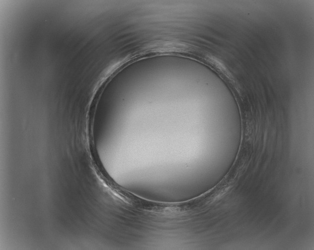 X0000063440986200602031737