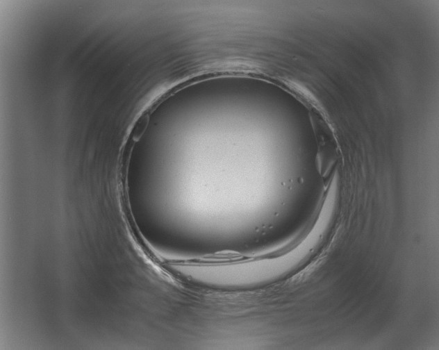 X0000063440989200602031737