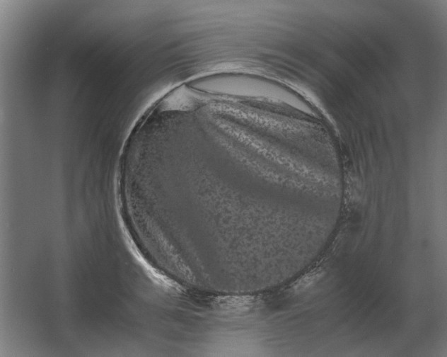 X0000063440991200602031737