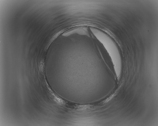 X0000063440993200602031737