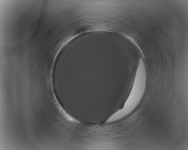 X0000063440995200602031737
