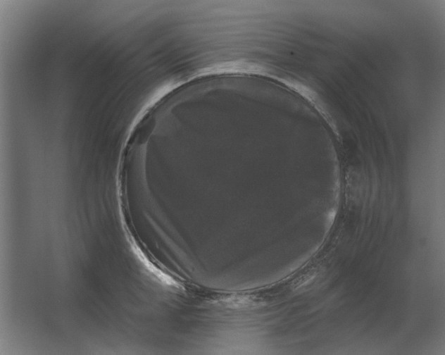 X0000063440998200602031736