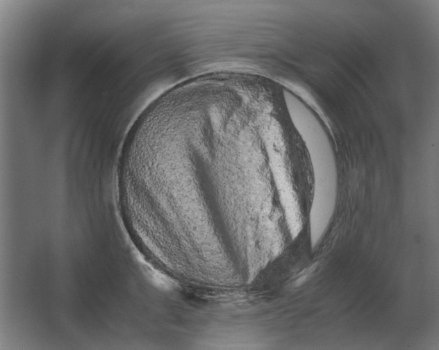X0000063440999200602031736