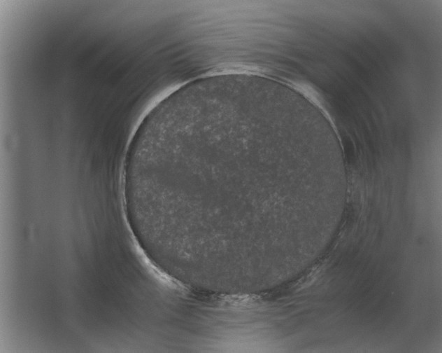 X0000063441003200602031736