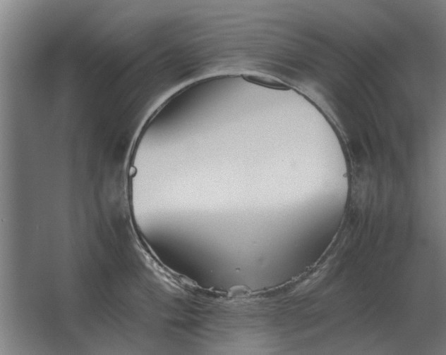 X0000063441004200602031736