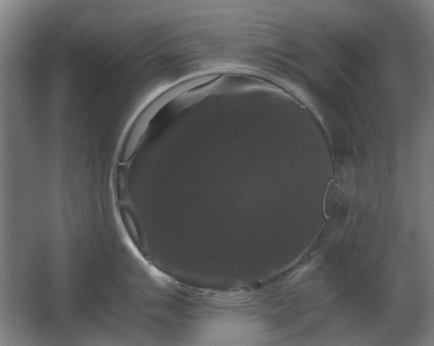 X0000063441007200602031736