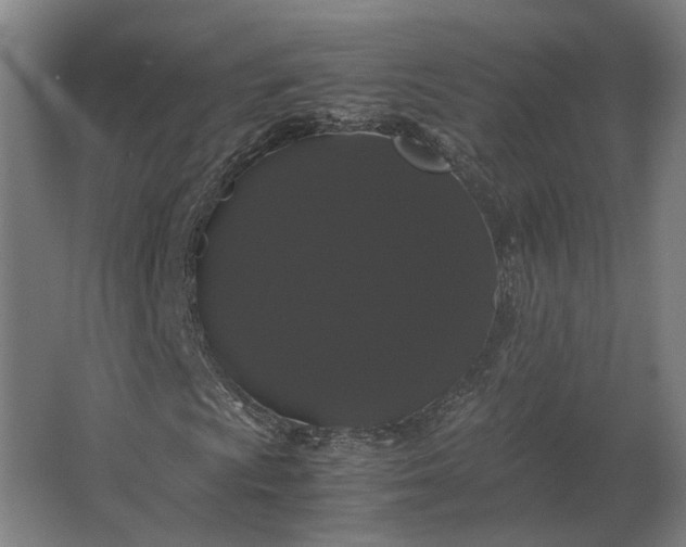 X0000063441009200602031736