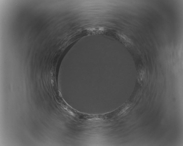X0000063441010200602031736