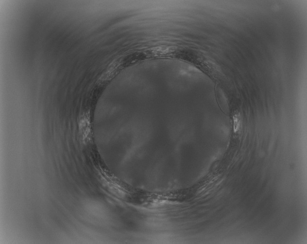 X0000063441011200602031736