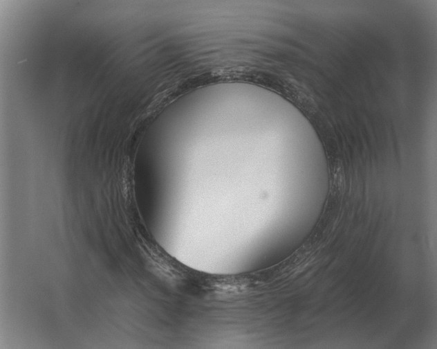 X0000063441012200602031736